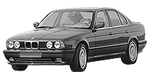BMW E34 C1953 Fault Code